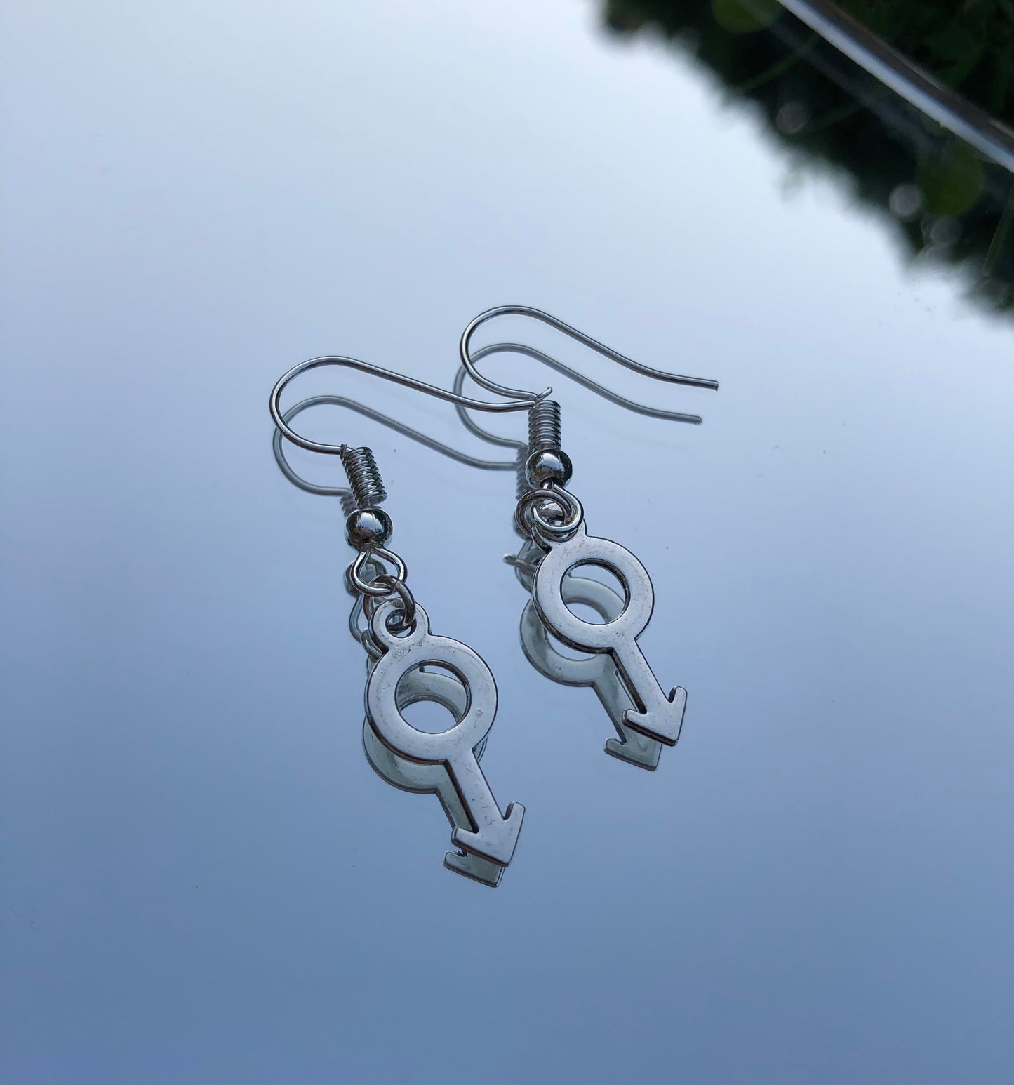 Pride LGBTQ+ Ohrringe, Gender Symbol Earrings